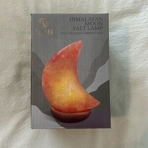 Himalayan Moon Salt Lamp with Ambient LEDs